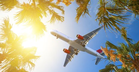 Airplane Flying Between Palm Trees