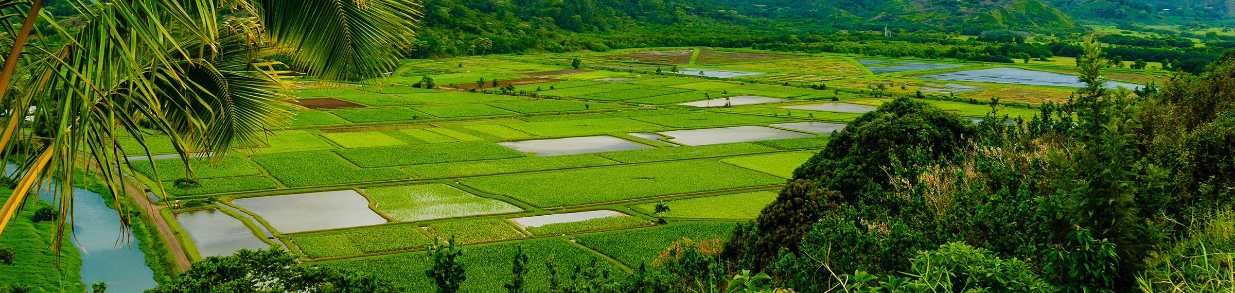 Land Use, Zoning & Entitlements Cades Schutte