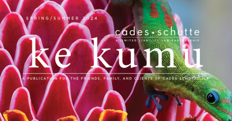 Ke Kumu Spring Summer 2024 Website